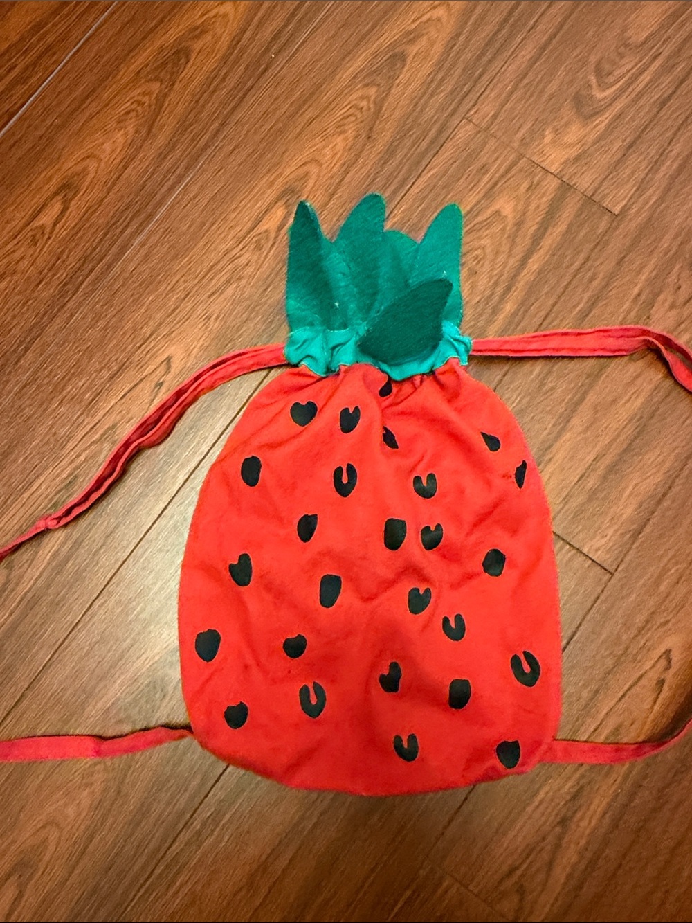 Hanna Andersson Kids Strawberry Drawstring Backpack - Red & Green
